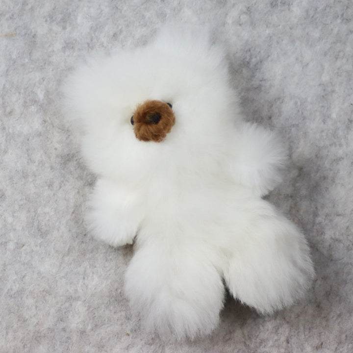 Leather Teddy Bear