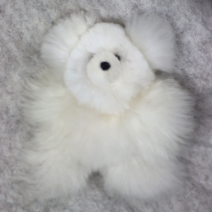 Leather Teddy Bear