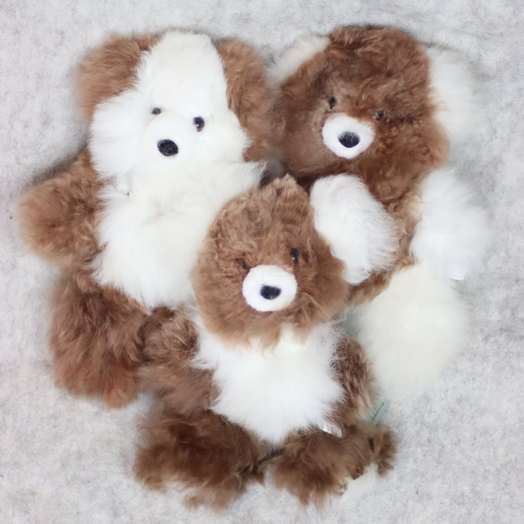 Leather Teddy Bear
