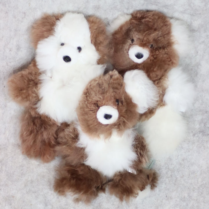 Leather Teddy Bear