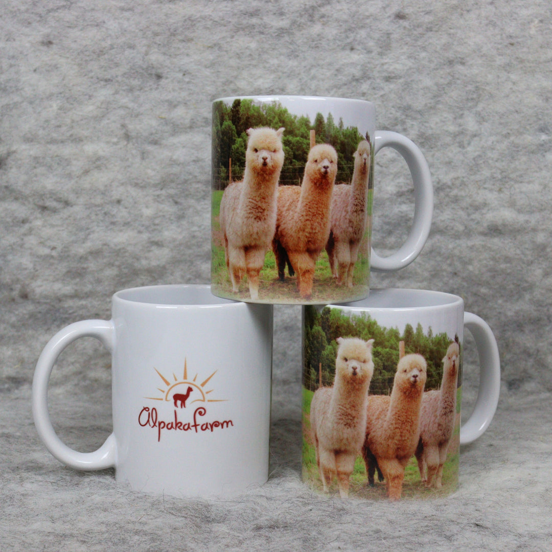 Mug - various options