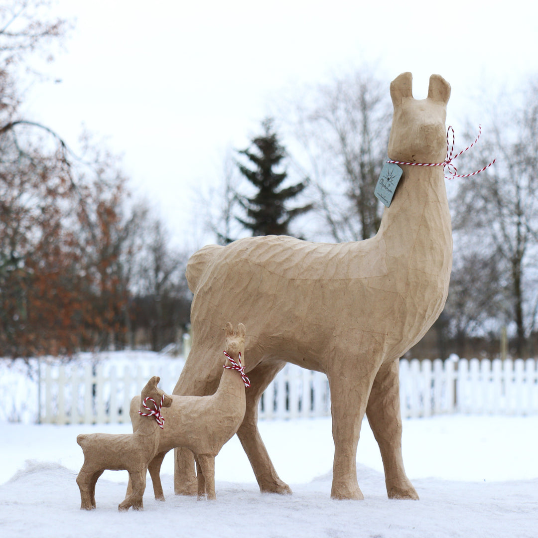 Cardboard Llama