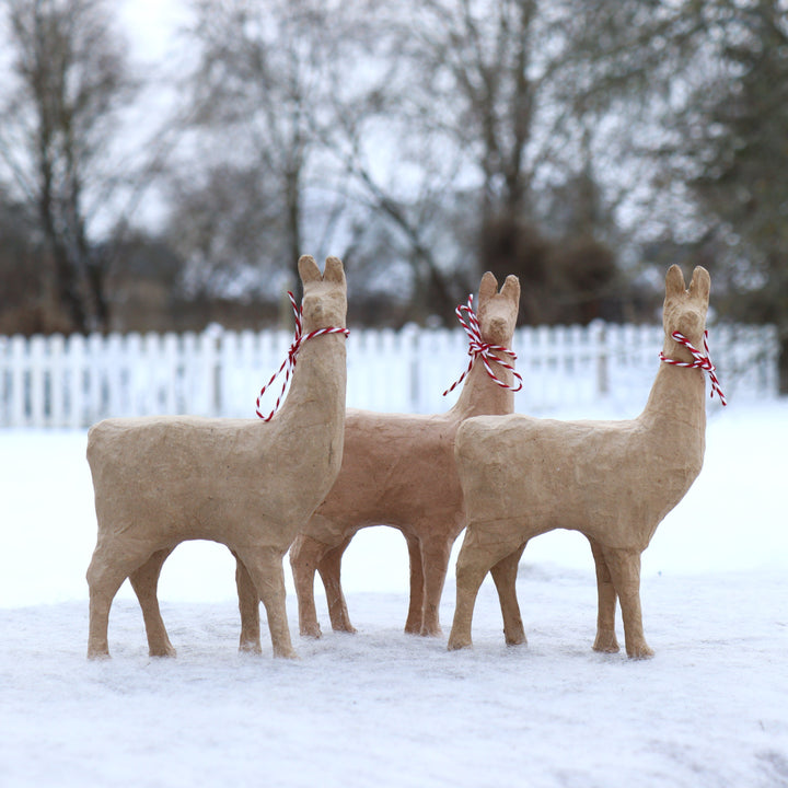 Cardboard Llama