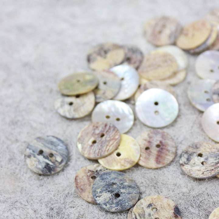 Seashell buttons