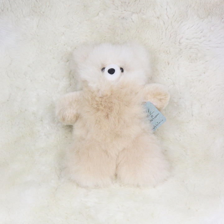 Leather Teddy Bear