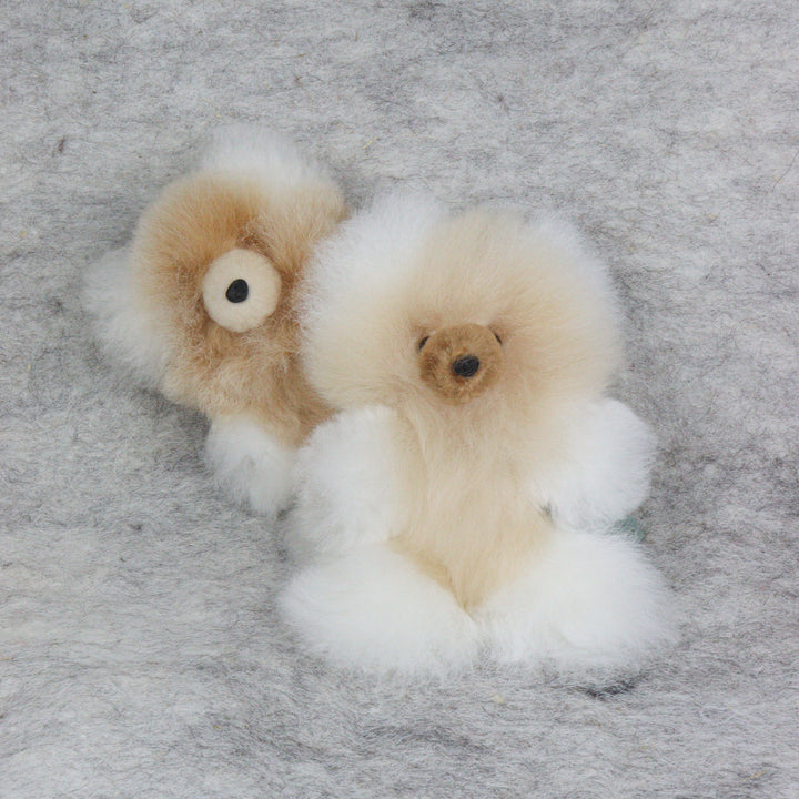Leather Teddy Bear