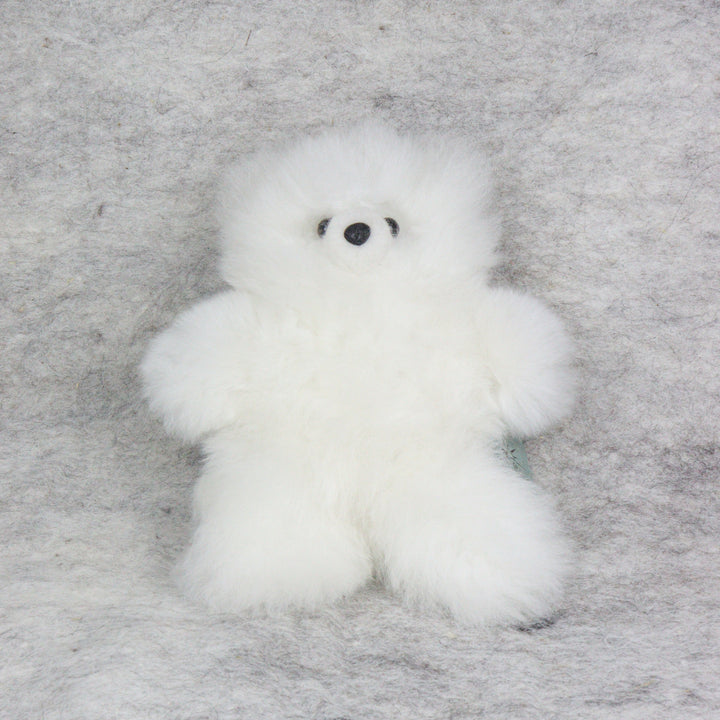 Leather Teddy Bear